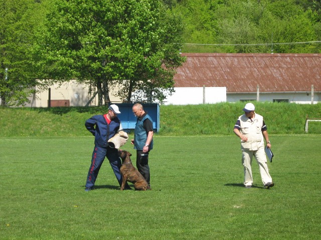 www.atibox.net * www.euroboxer.eu * www.boxergenealogia.eu
